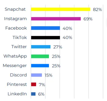 social media france